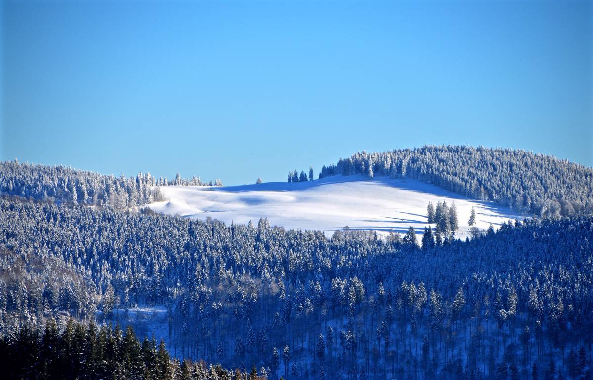 Blick über den Schwarzwald im Winter