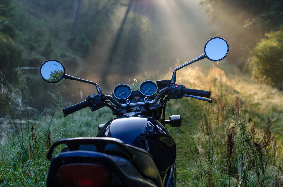 Motorrad steht im Wald auf einer Wiese