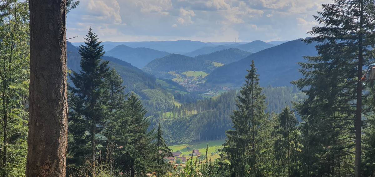 Talblick nach Oberwolfach im Schwarzwald